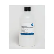 Protein A Agarose Resin - 5 mL